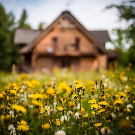 Brzozowy Gaj Bed & Breakfast Glowczyce Exterior photo