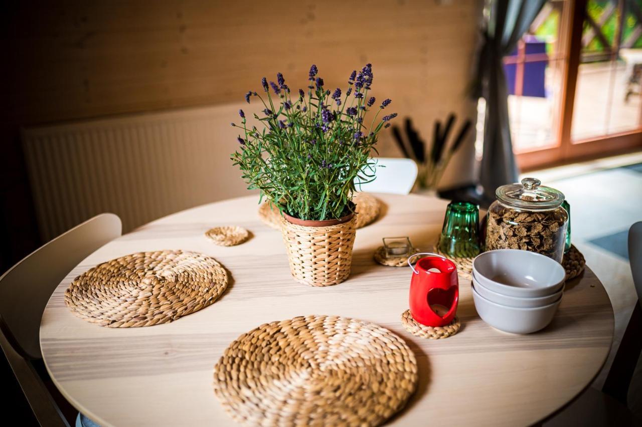 Brzozowy Gaj Bed & Breakfast Glowczyce Exterior photo