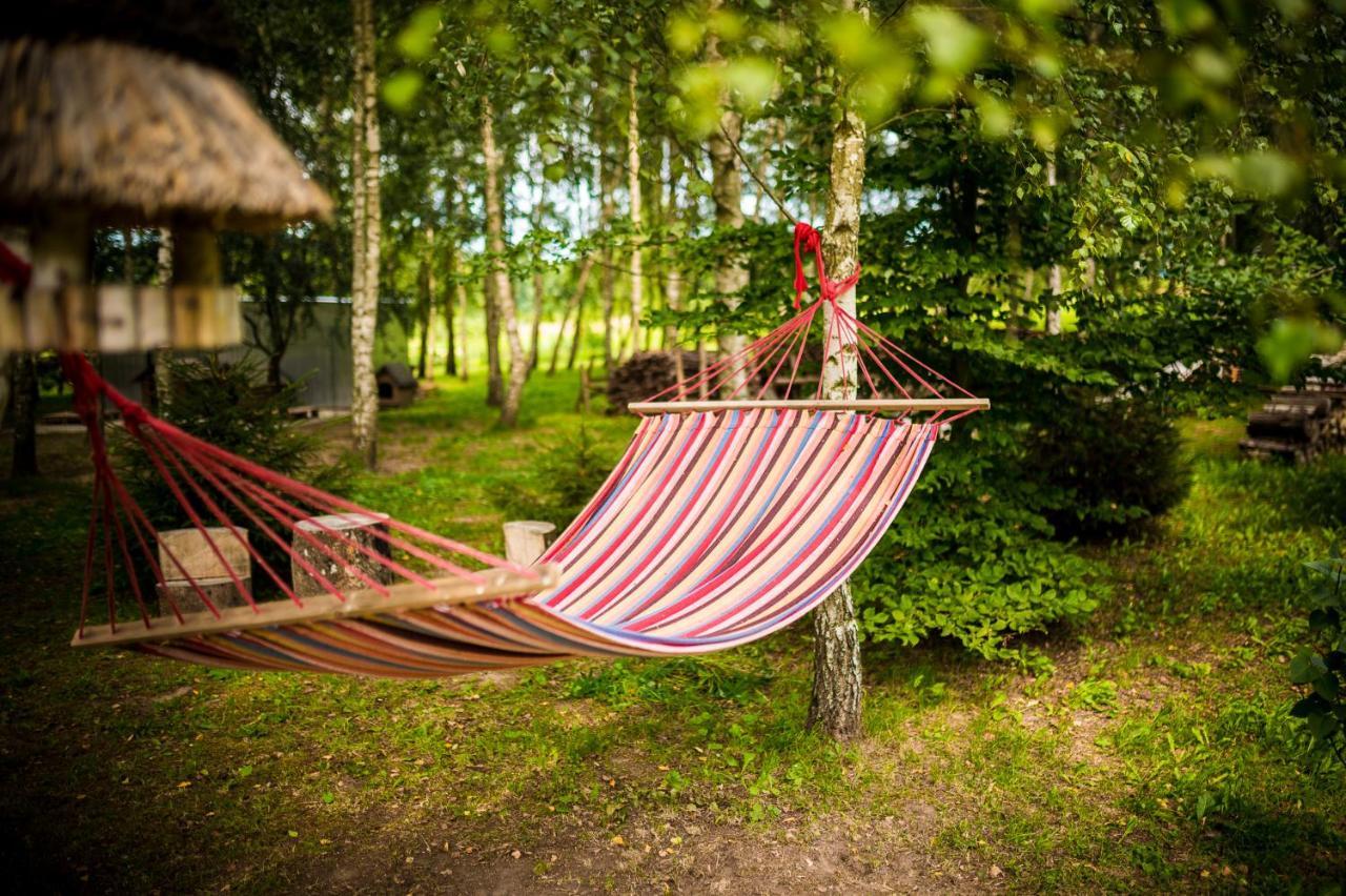 Brzozowy Gaj Bed & Breakfast Glowczyce Exterior photo