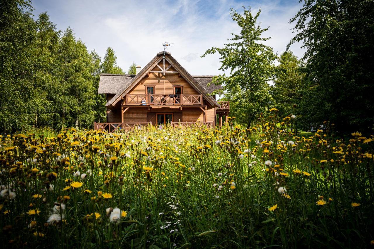 Brzozowy Gaj Bed & Breakfast Glowczyce Exterior photo