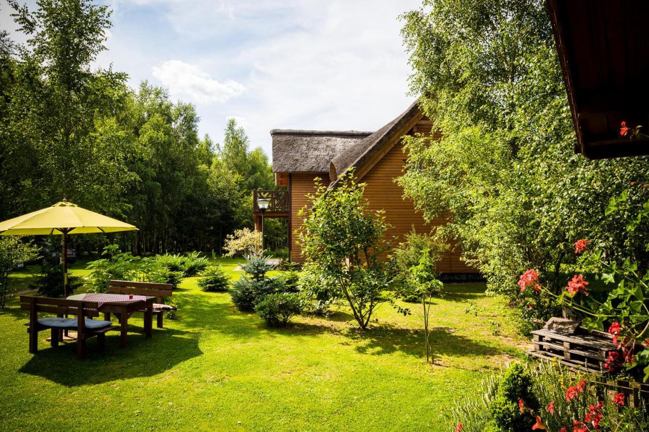 Brzozowy Gaj Bed & Breakfast Glowczyce Exterior photo