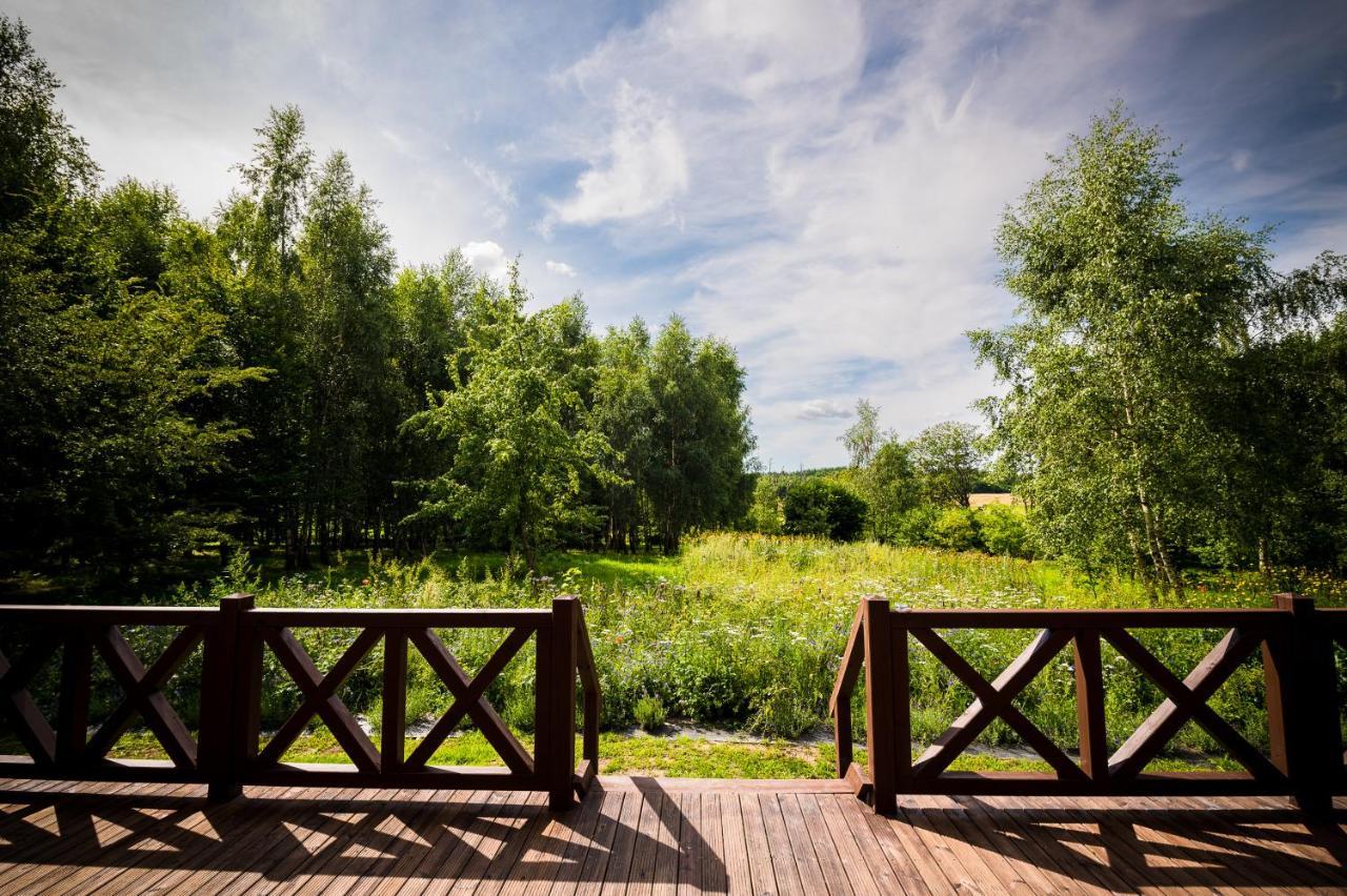 Brzozowy Gaj Bed & Breakfast Glowczyce Exterior photo